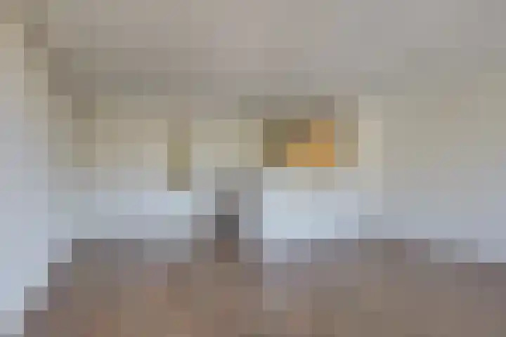 Willem van Hooffstraat 57 Naaldwijk thumbnail 30