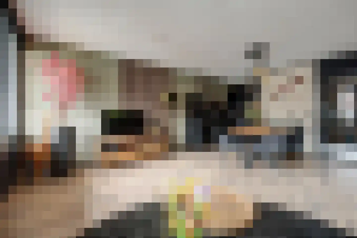 Willem van Hooffstraat 7 Naaldwijk thumbnail 10