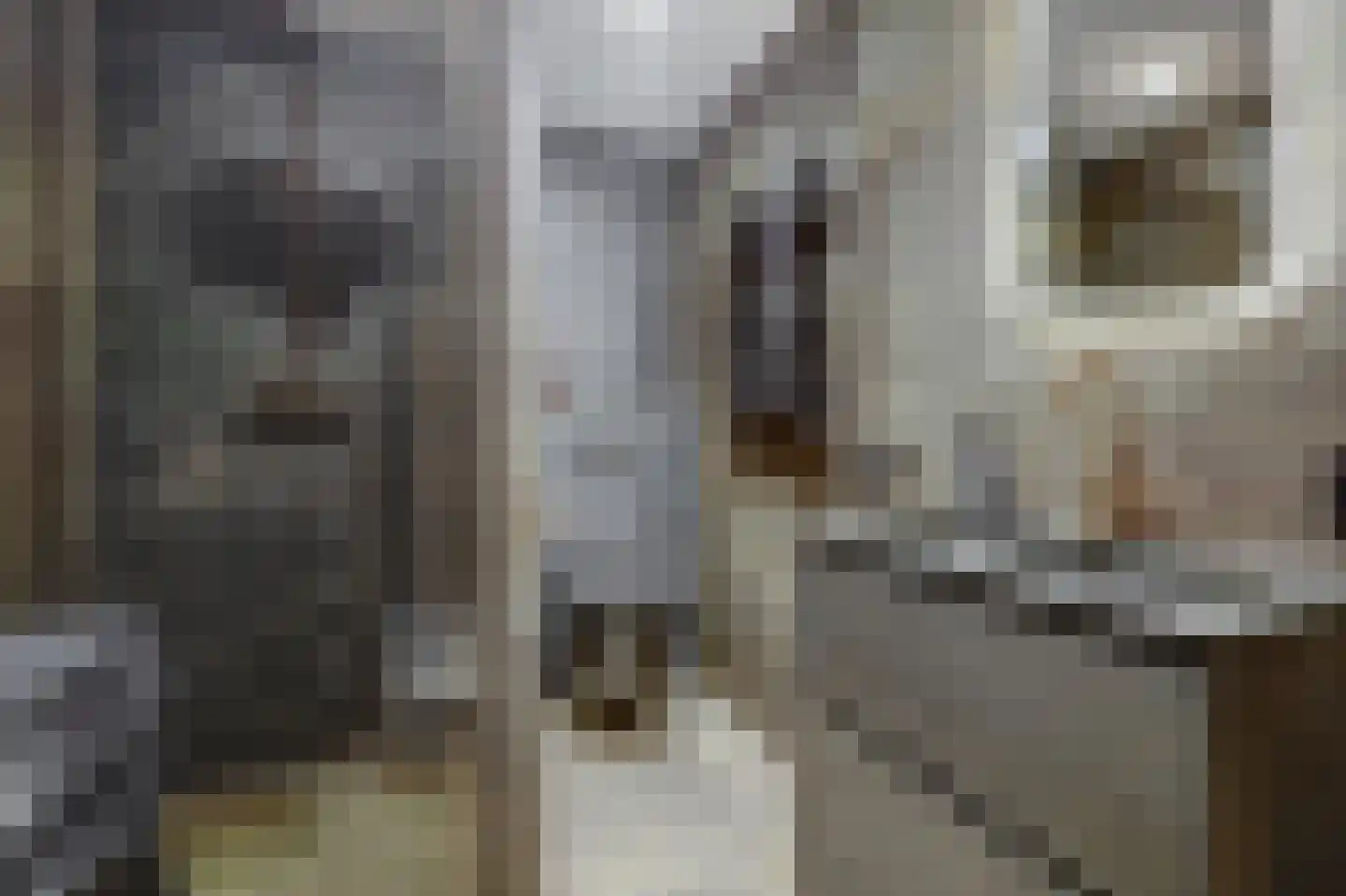 Willem van Hooffstraat 7 Naaldwijk thumbnail 4