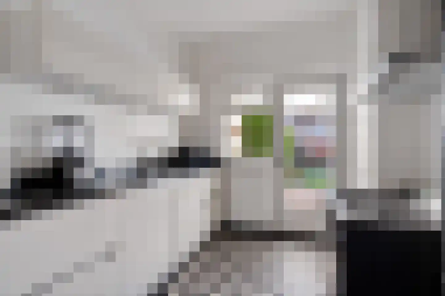 Willem van Hornestraat 21 Eindhoven thumbnail 10