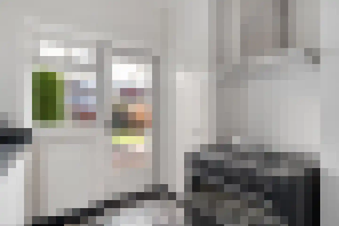 Willem van Hornestraat 21 Eindhoven thumbnail 12