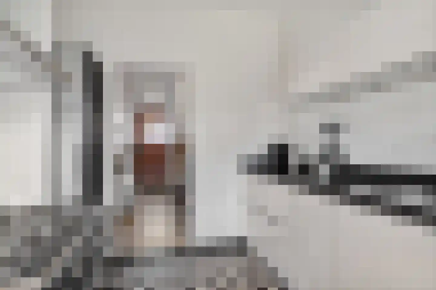 Willem van Hornestraat 21 Eindhoven thumbnail 12