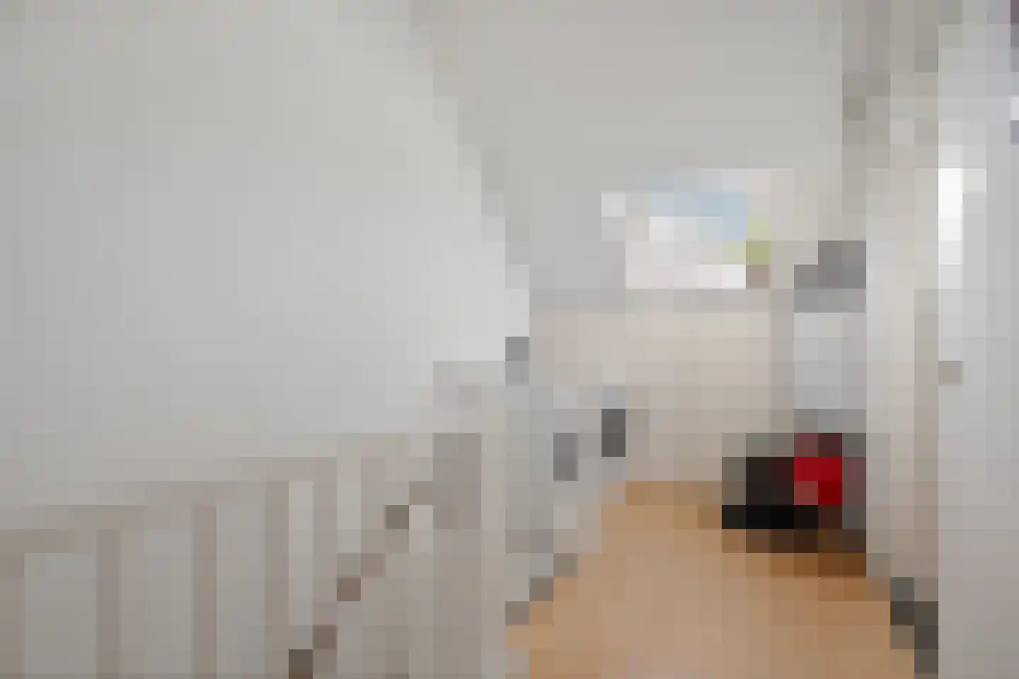 Willem van Hornestraat 21 Eindhoven thumbnail 23