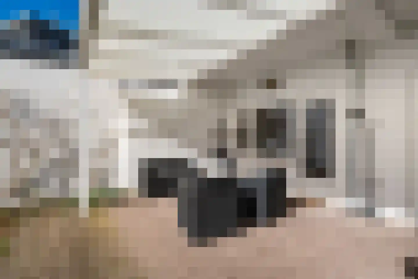 Willem van Hornestraat 21 Eindhoven thumbnail 29