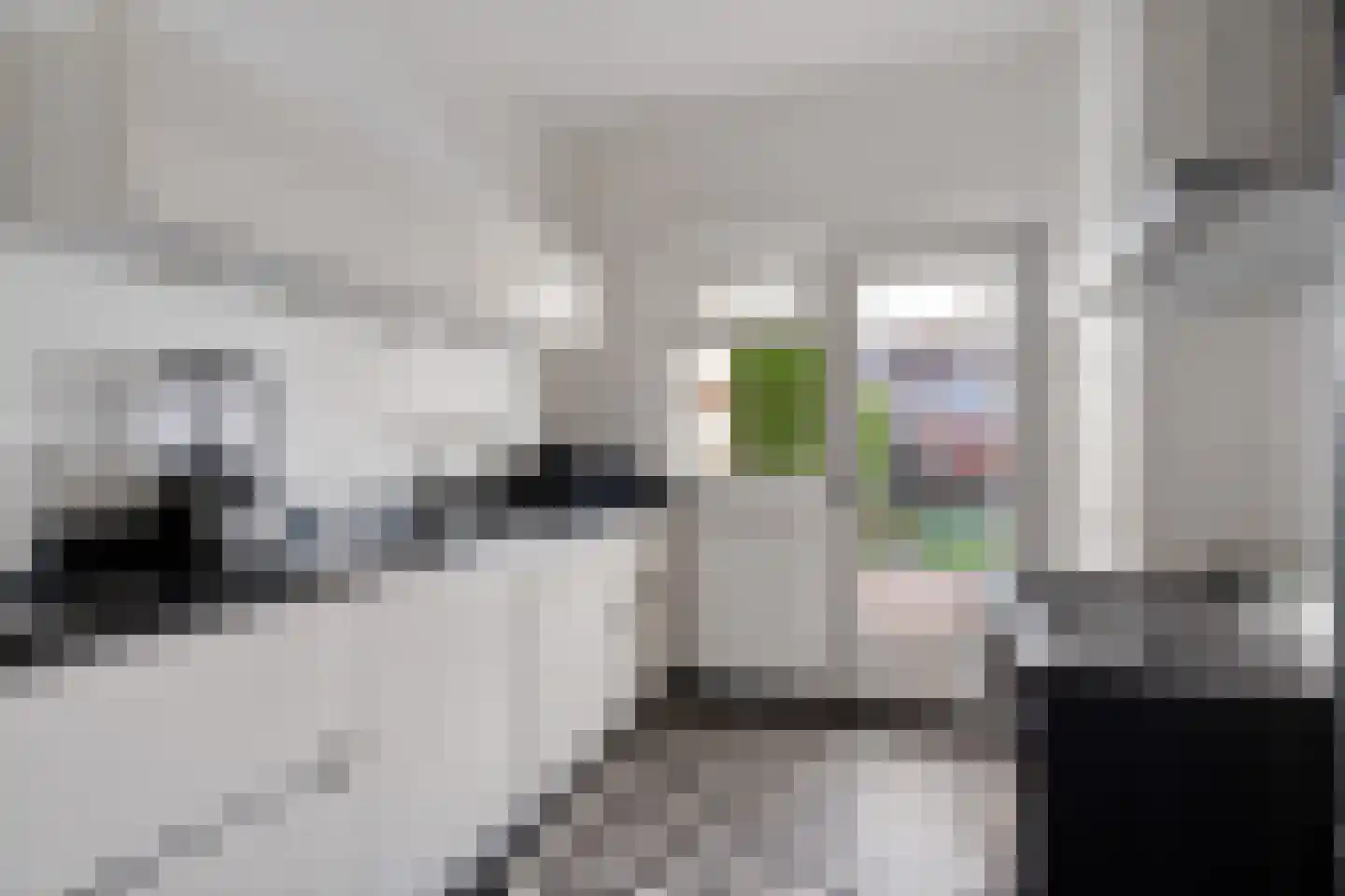Willem van Hornestraat 21 Eindhoven thumbnail 4