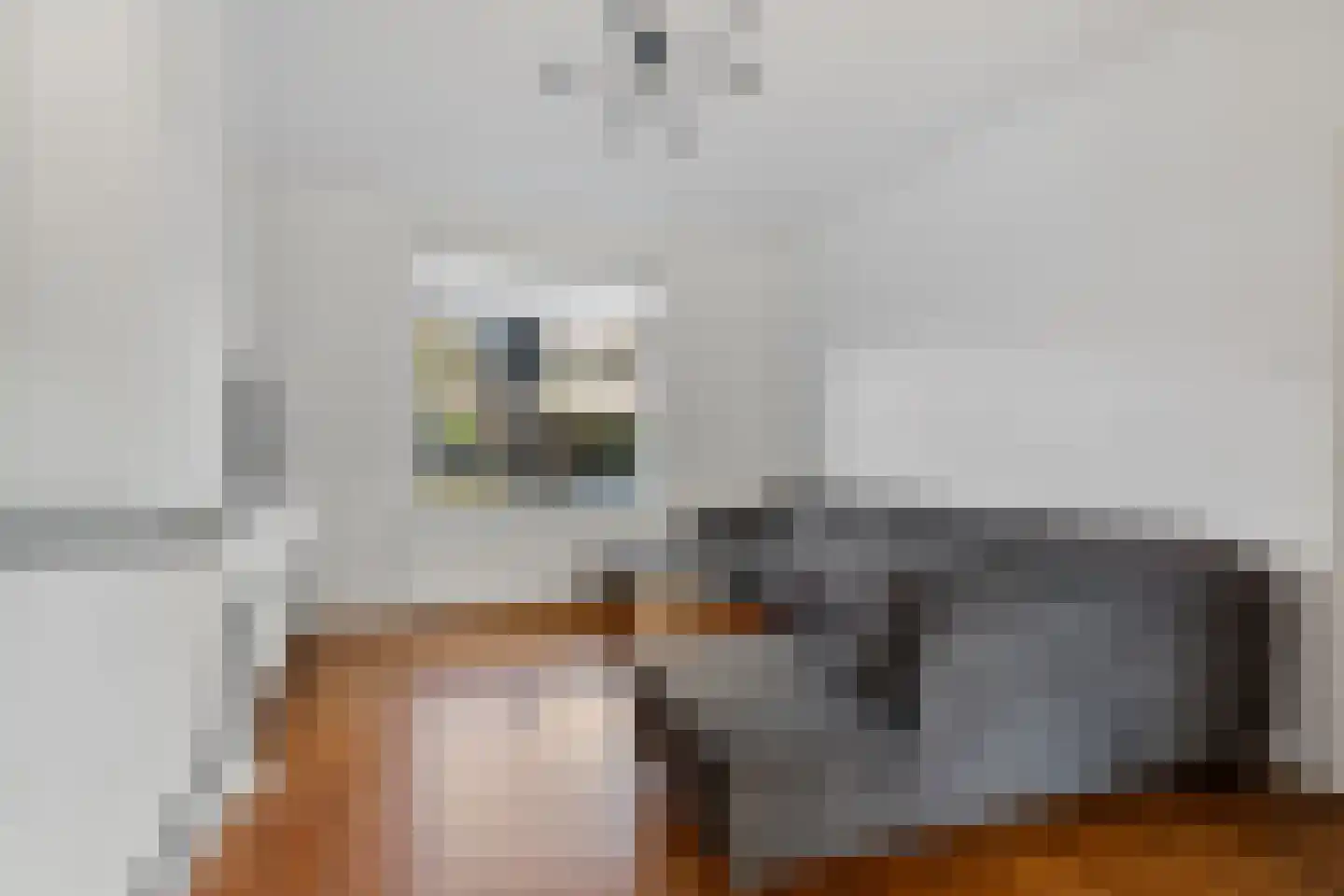 Willem van Hornestraat 21 Eindhoven thumbnail 5