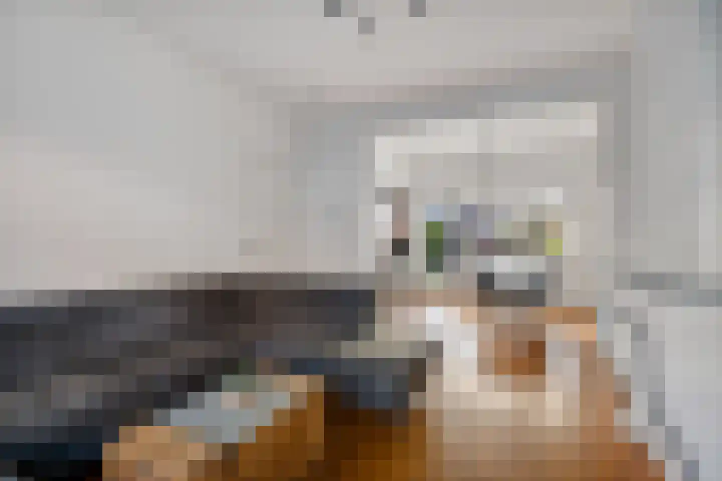 Willem van Hornestraat 21 Eindhoven thumbnail 5