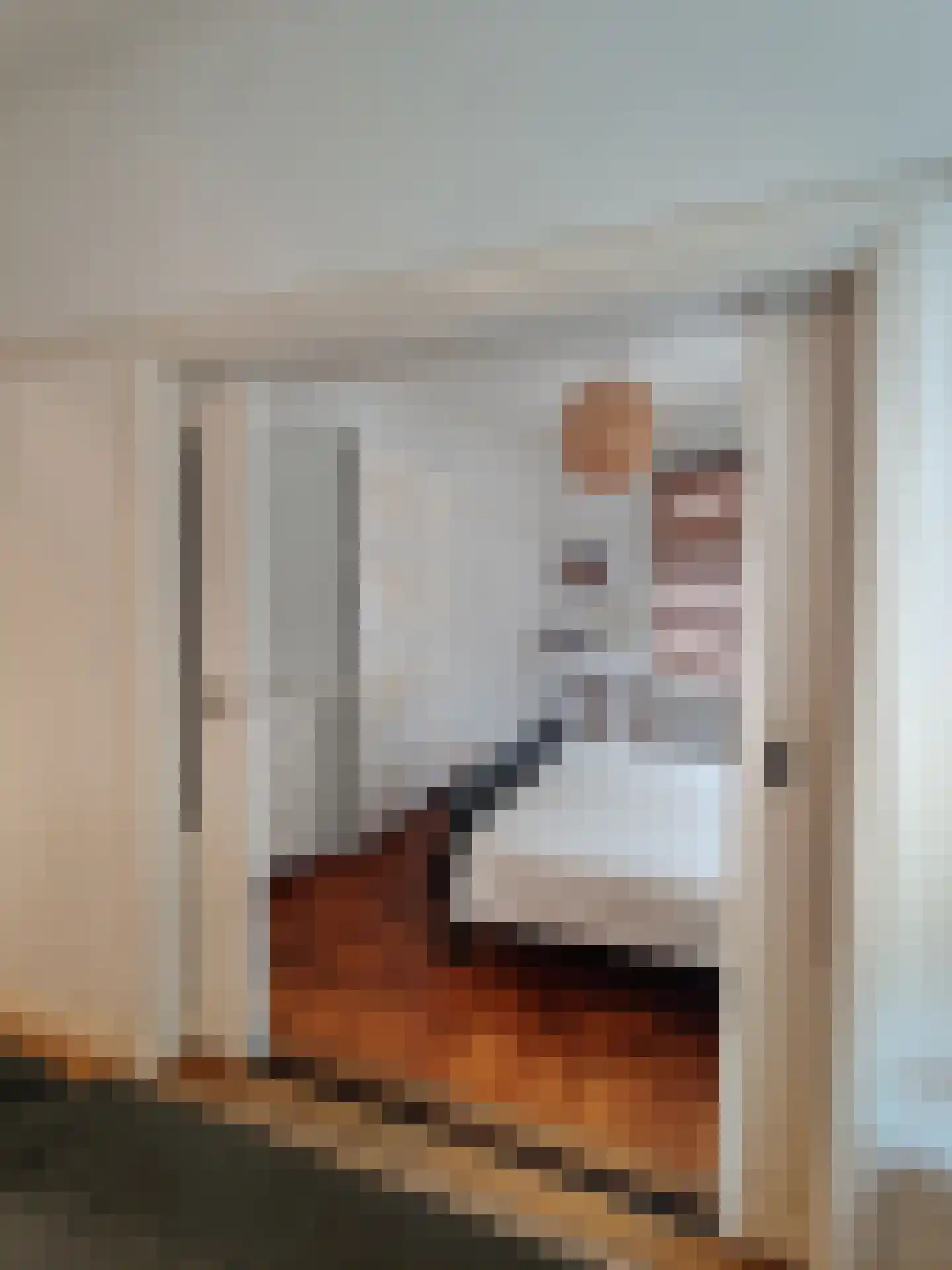 Willem van Hornestraat 26 Eindhoven thumbnail 12