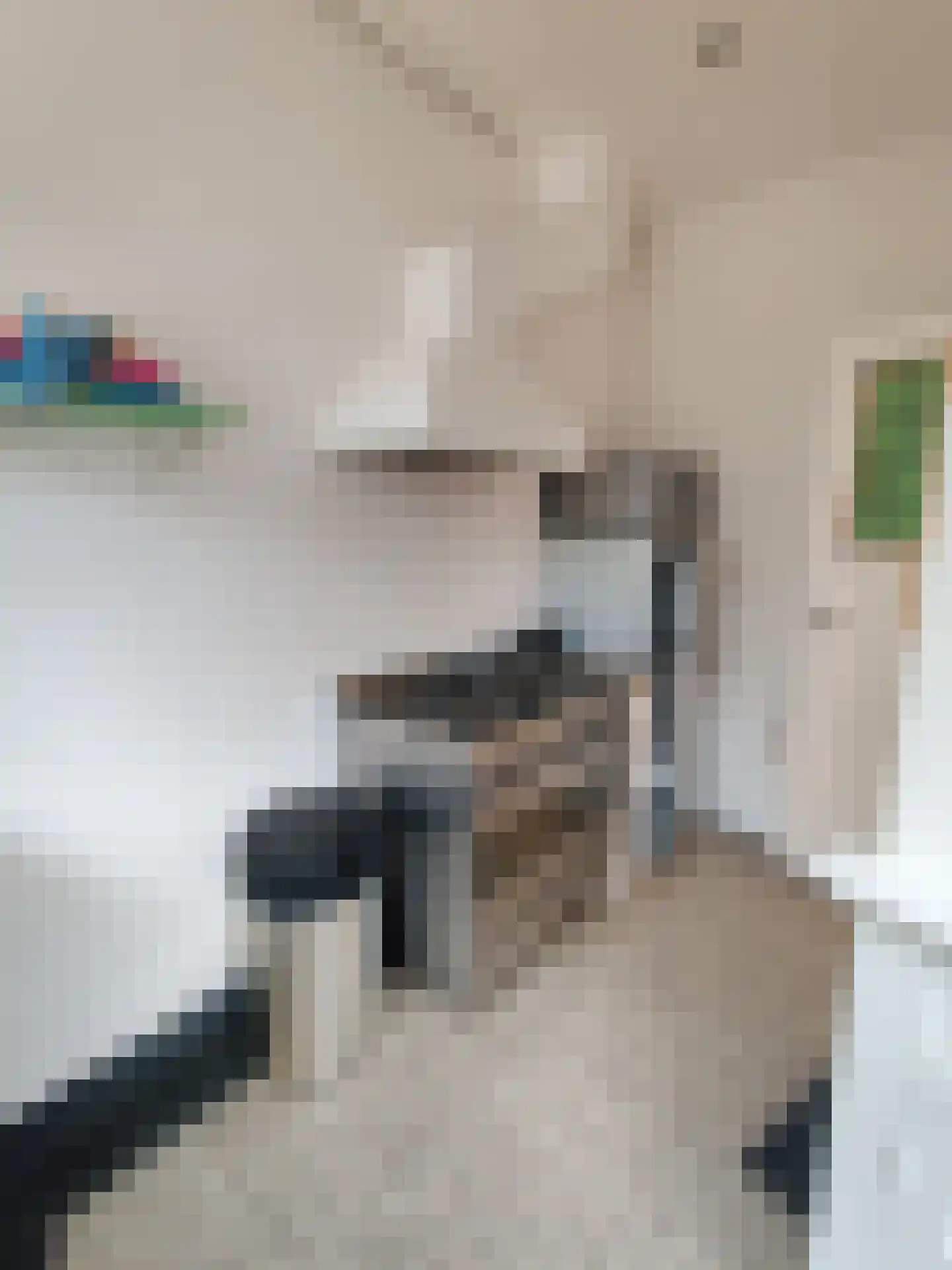 Willem van Hornestraat 26 Eindhoven thumbnail 14