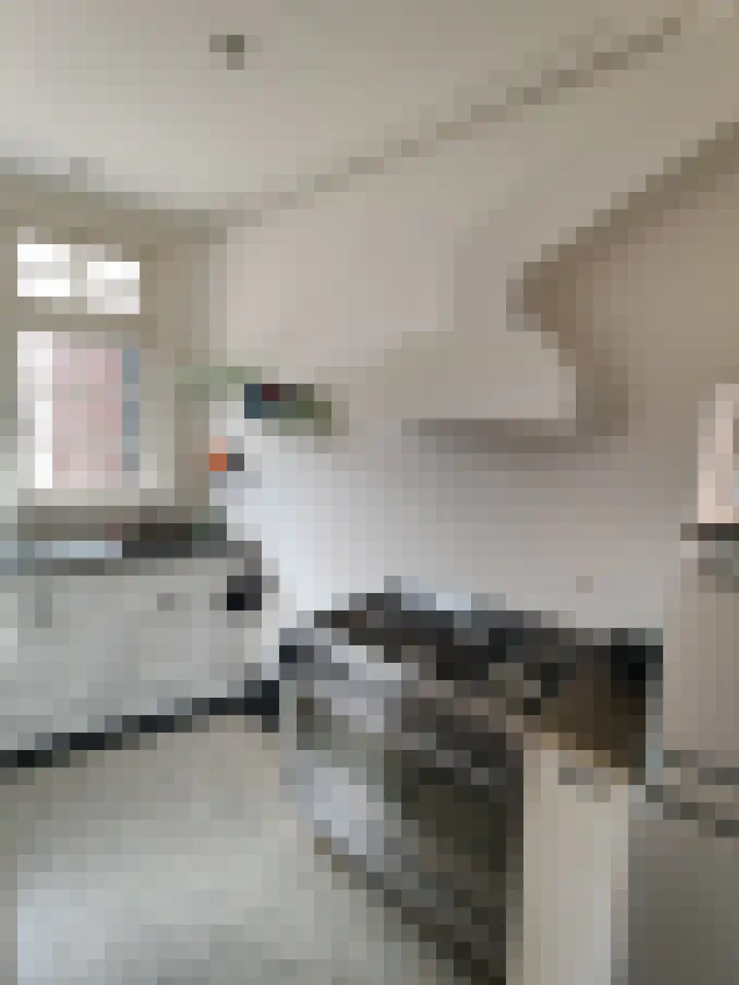 Willem van Hornestraat 26 Eindhoven thumbnail 15