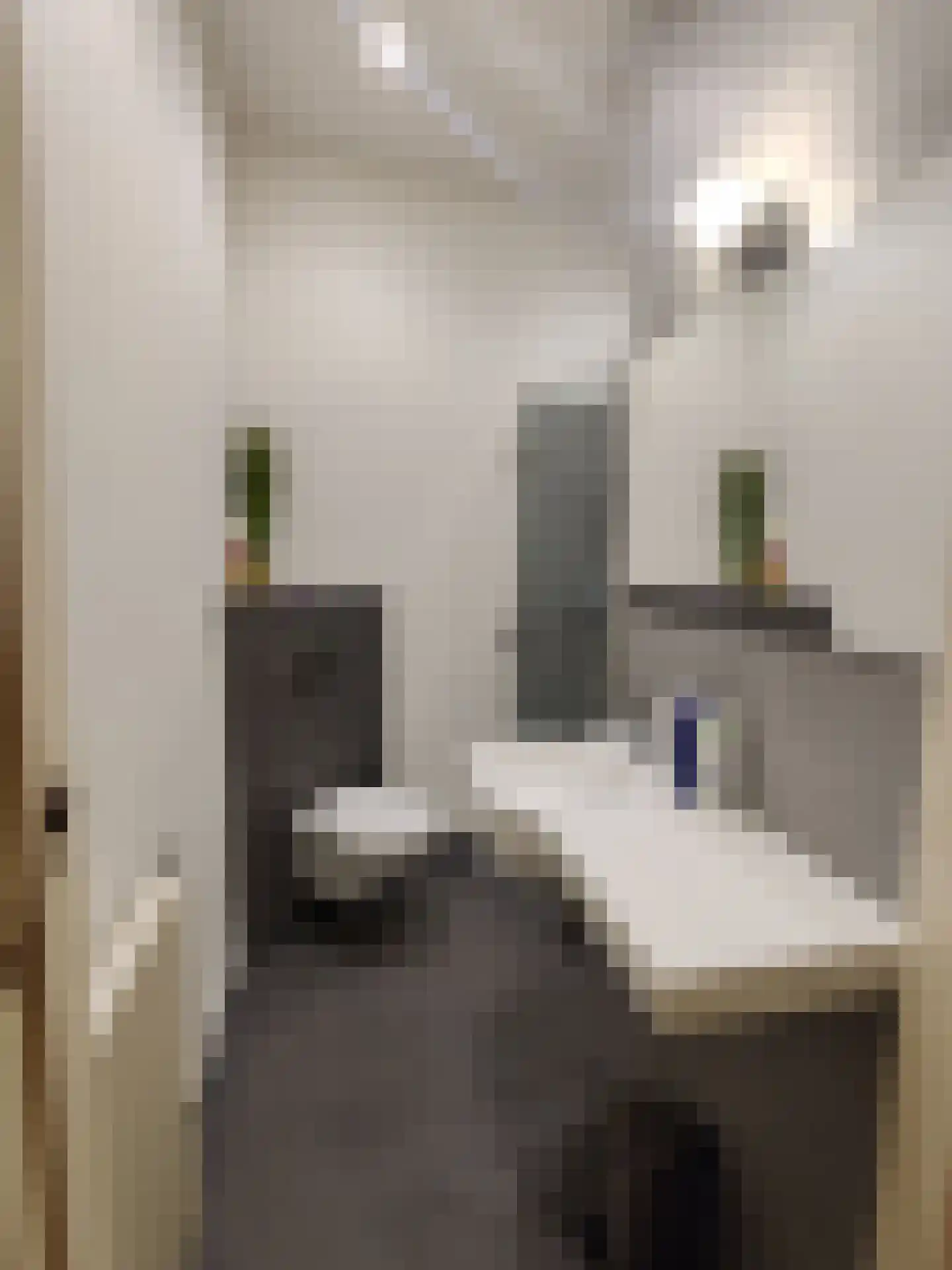 Willem van Hornestraat 26 Eindhoven thumbnail 17