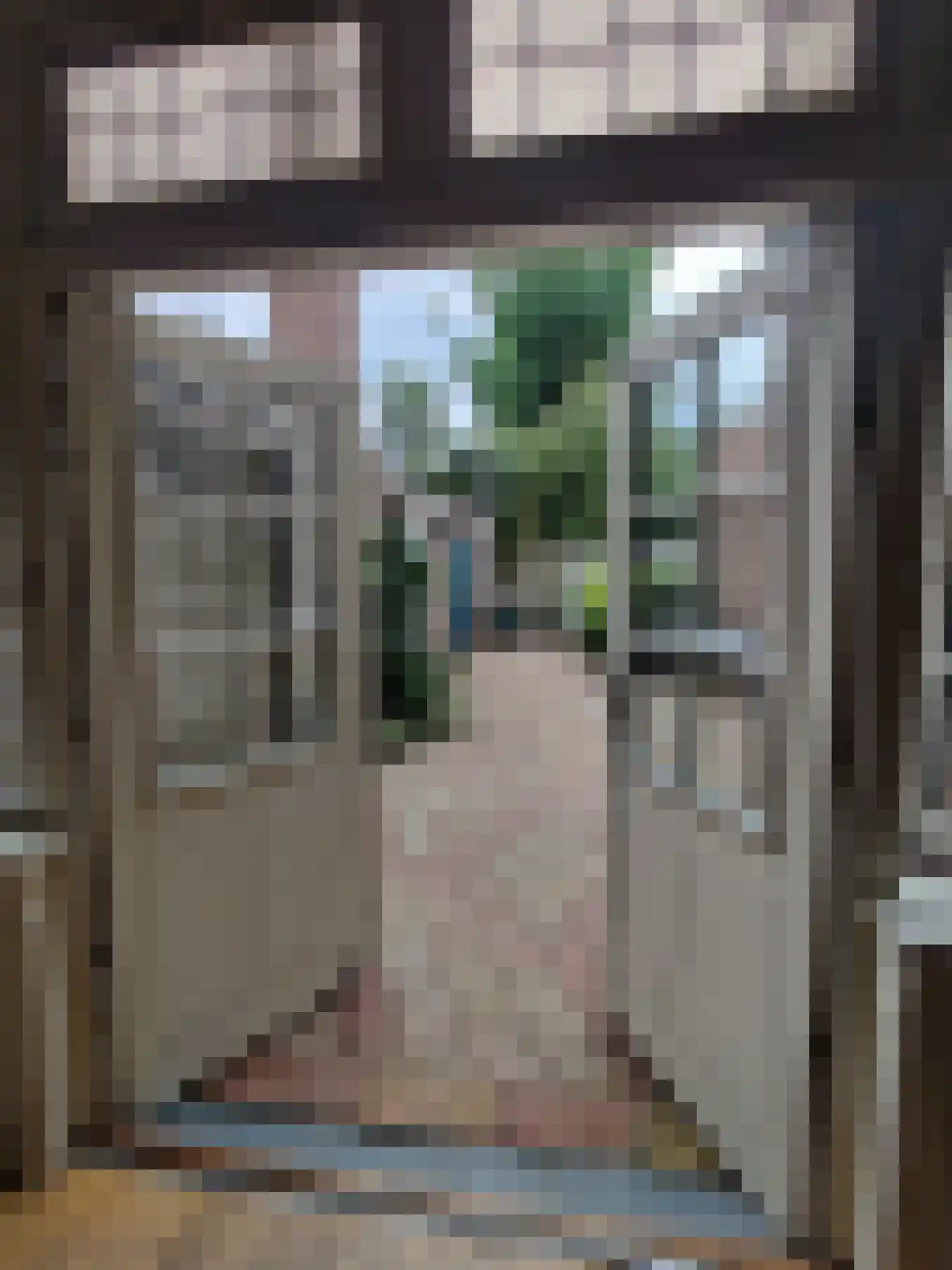 Willem van Hornestraat 26 Eindhoven thumbnail 20
