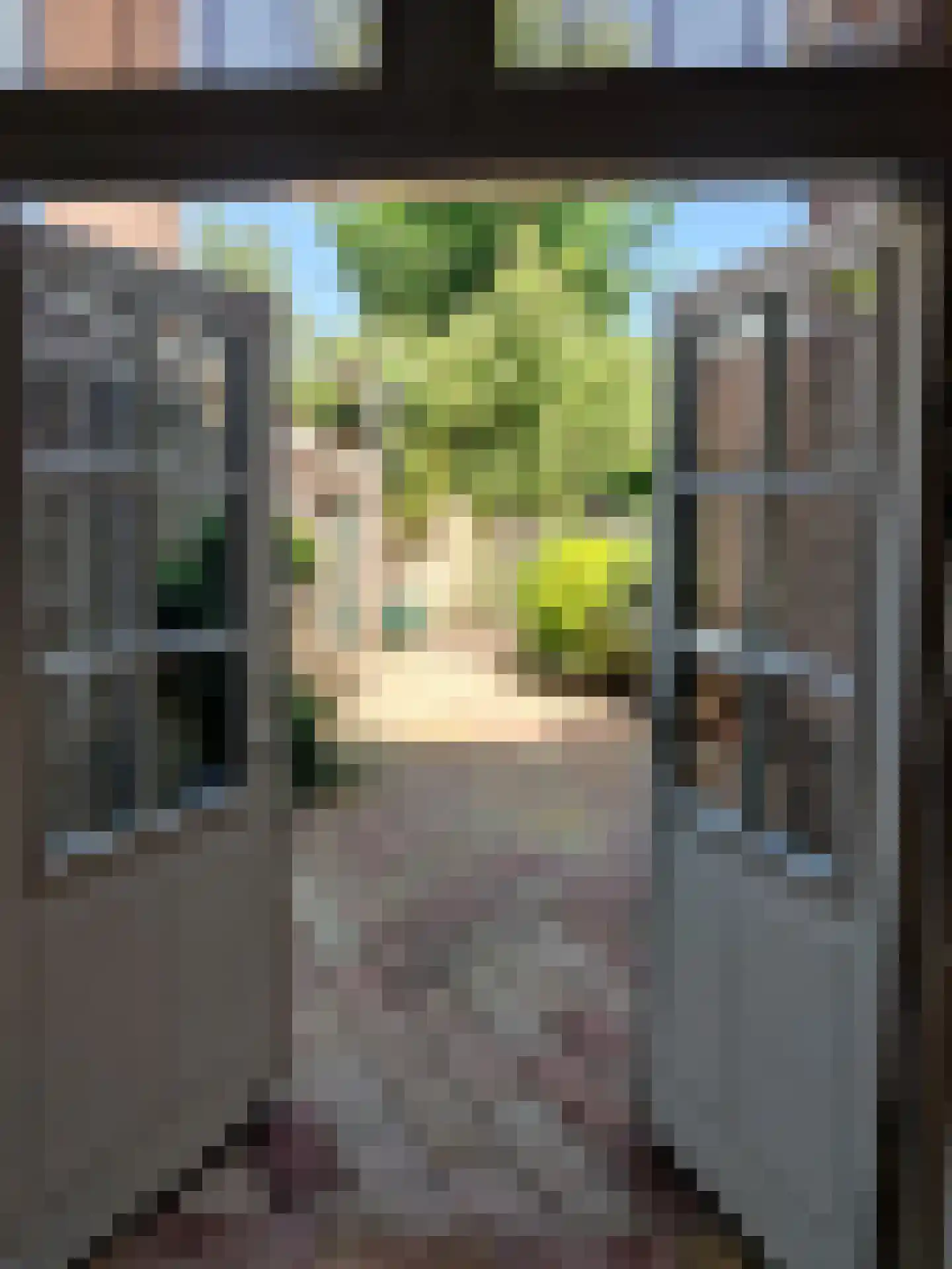 Willem van Hornestraat 26 Eindhoven thumbnail 21