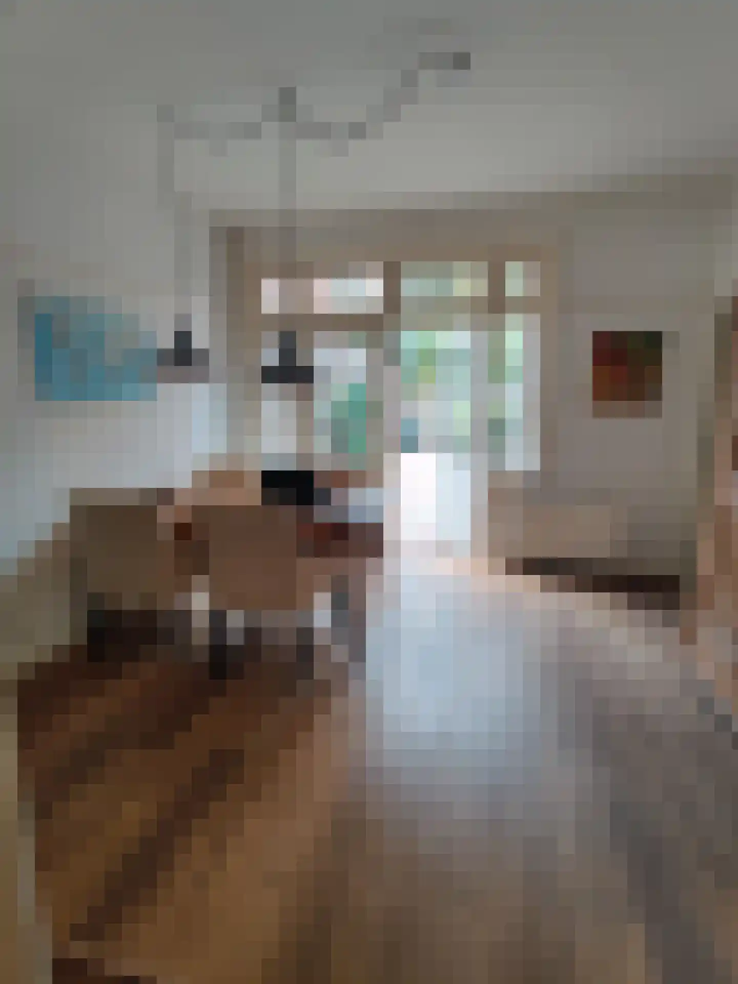 Willem van Hornestraat 26 Eindhoven thumbnail 5