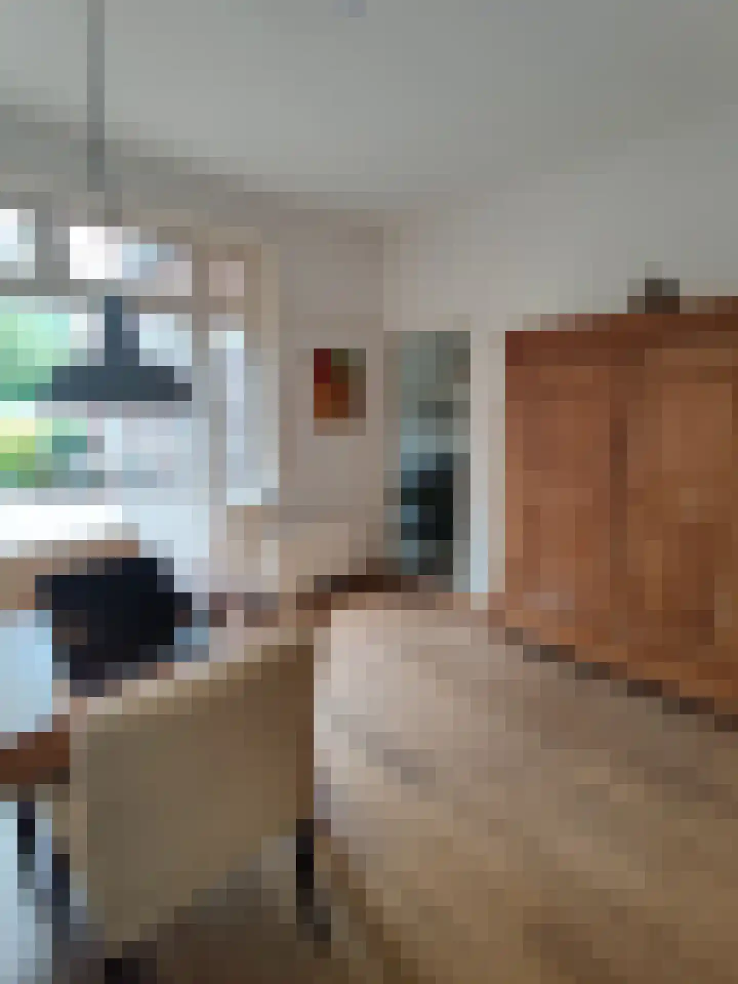 Willem van Hornestraat 26 Eindhoven thumbnail 6