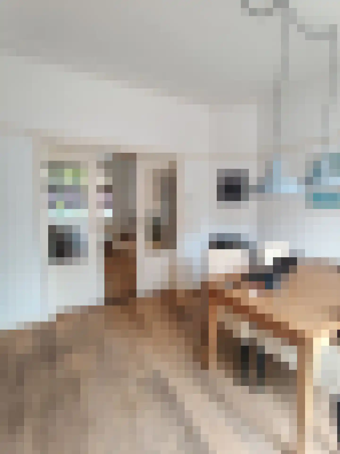 Willem van Hornestraat 26 Eindhoven thumbnail 7