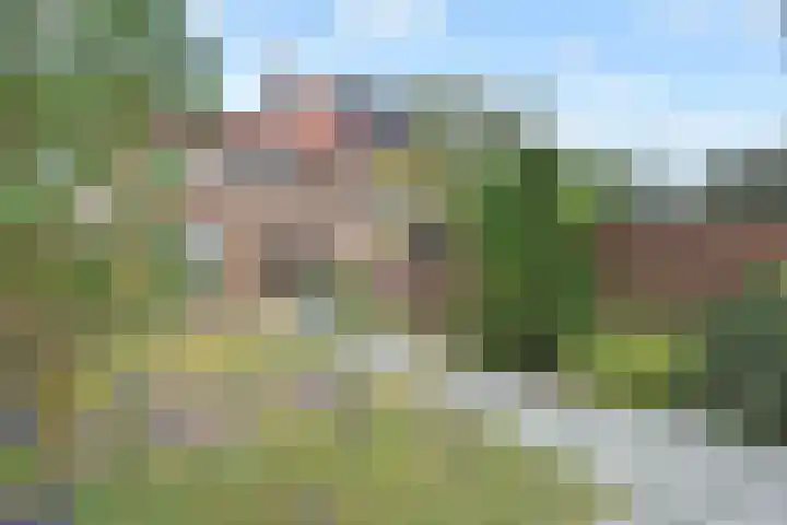 Willem van Houtenstraat 99 Hoek van Holland thumbnail 6