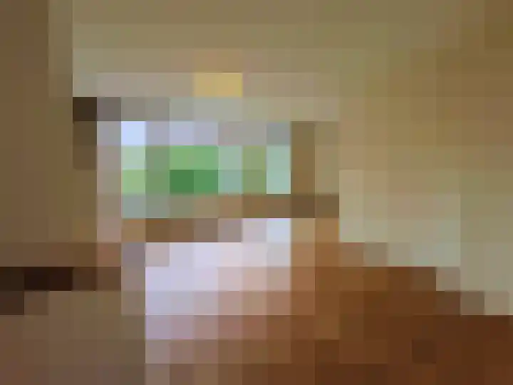 Willem van Kleeflaan 3 3 Arnhem thumbnail 6