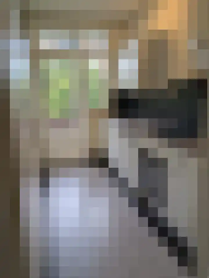 Willem van Kleeflaan 3 3 Arnhem thumbnail 8