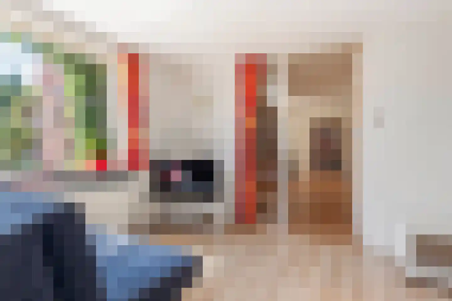Willem van Kleefweg 5 Oosterbeek thumbnail 30