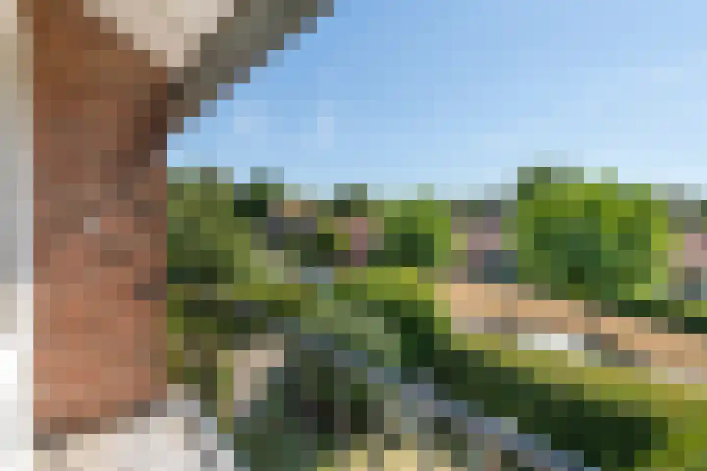 Willem van Kleefweg 5 Oosterbeek thumbnail 38