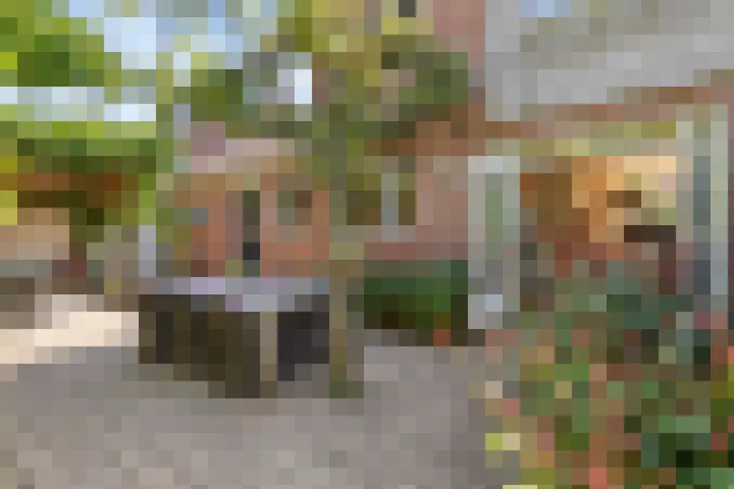 Willem van Kleefweg 5 Oosterbeek thumbnail 53