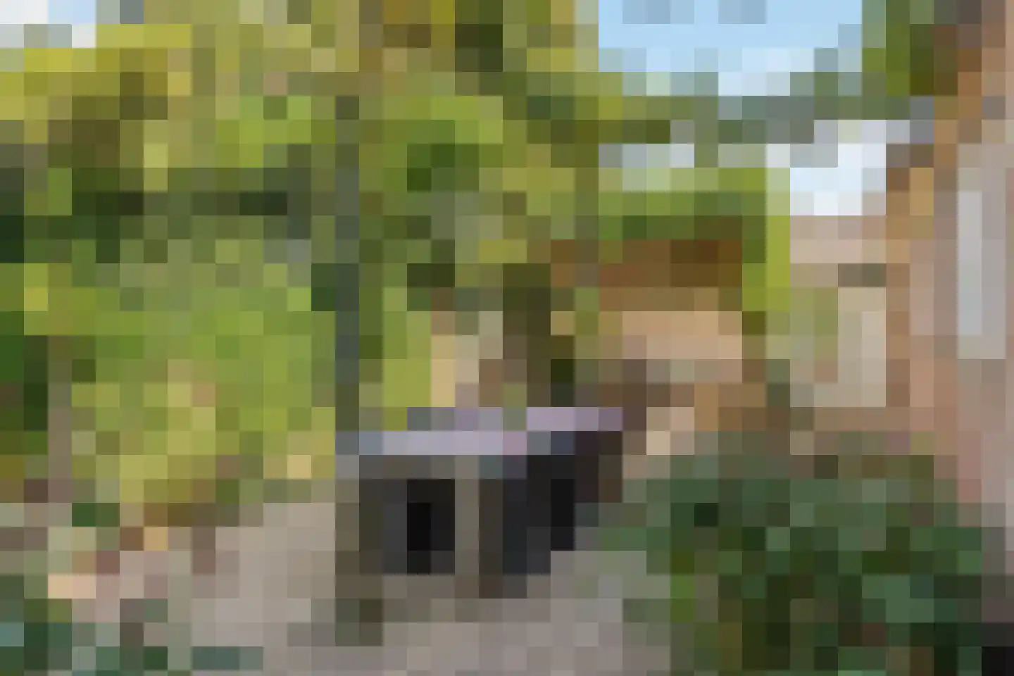 Willem van Kleefweg 5 Oosterbeek thumbnail 54