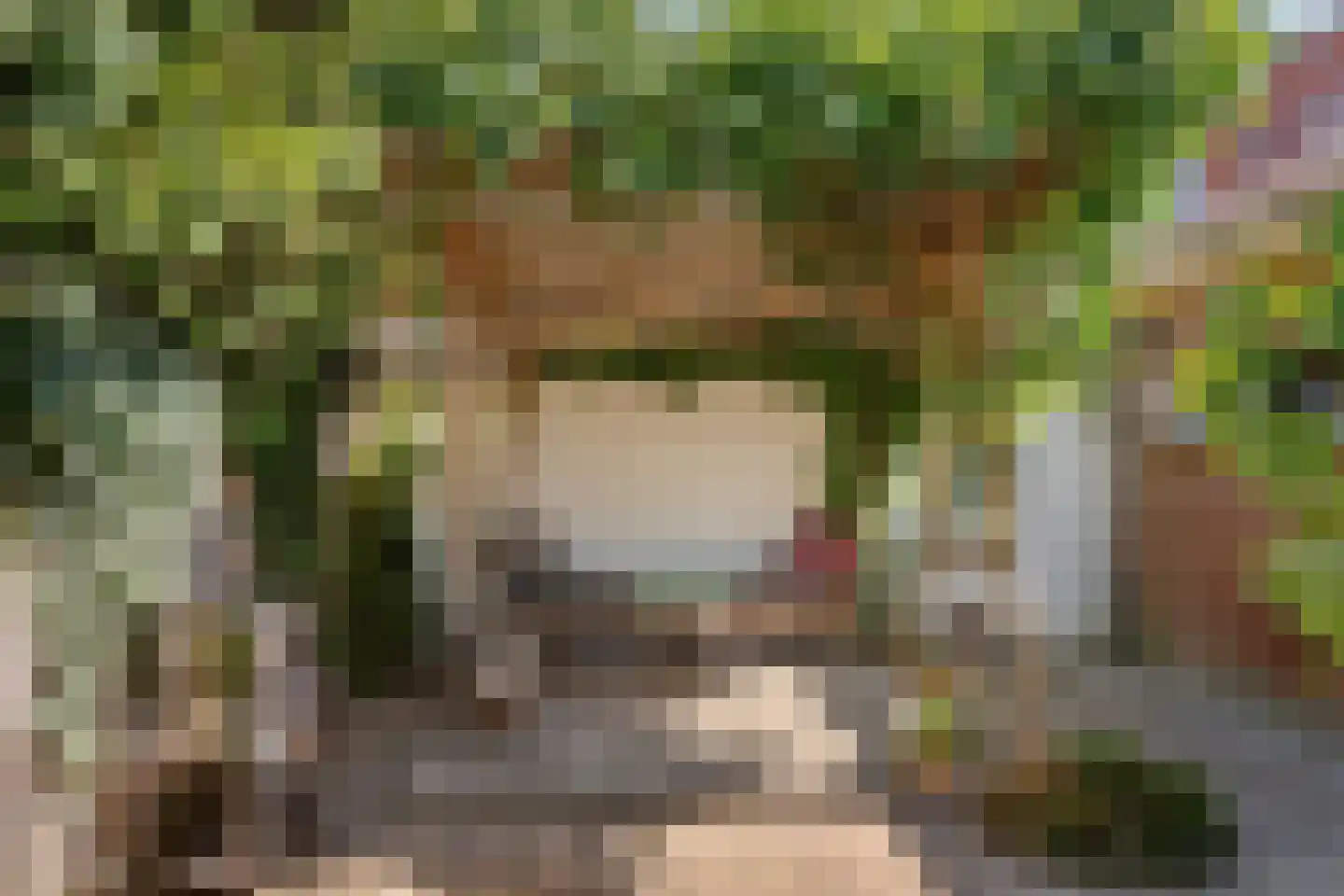 Willem van Kleefweg 5 Oosterbeek thumbnail 57