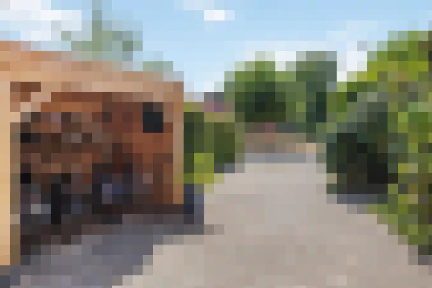 Willem van Kleefweg 5 Oosterbeek thumbnail 64