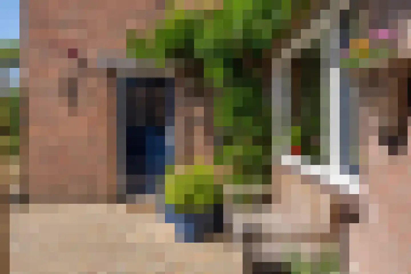 Willem van Kleefweg 5 Oosterbeek thumbnail 67