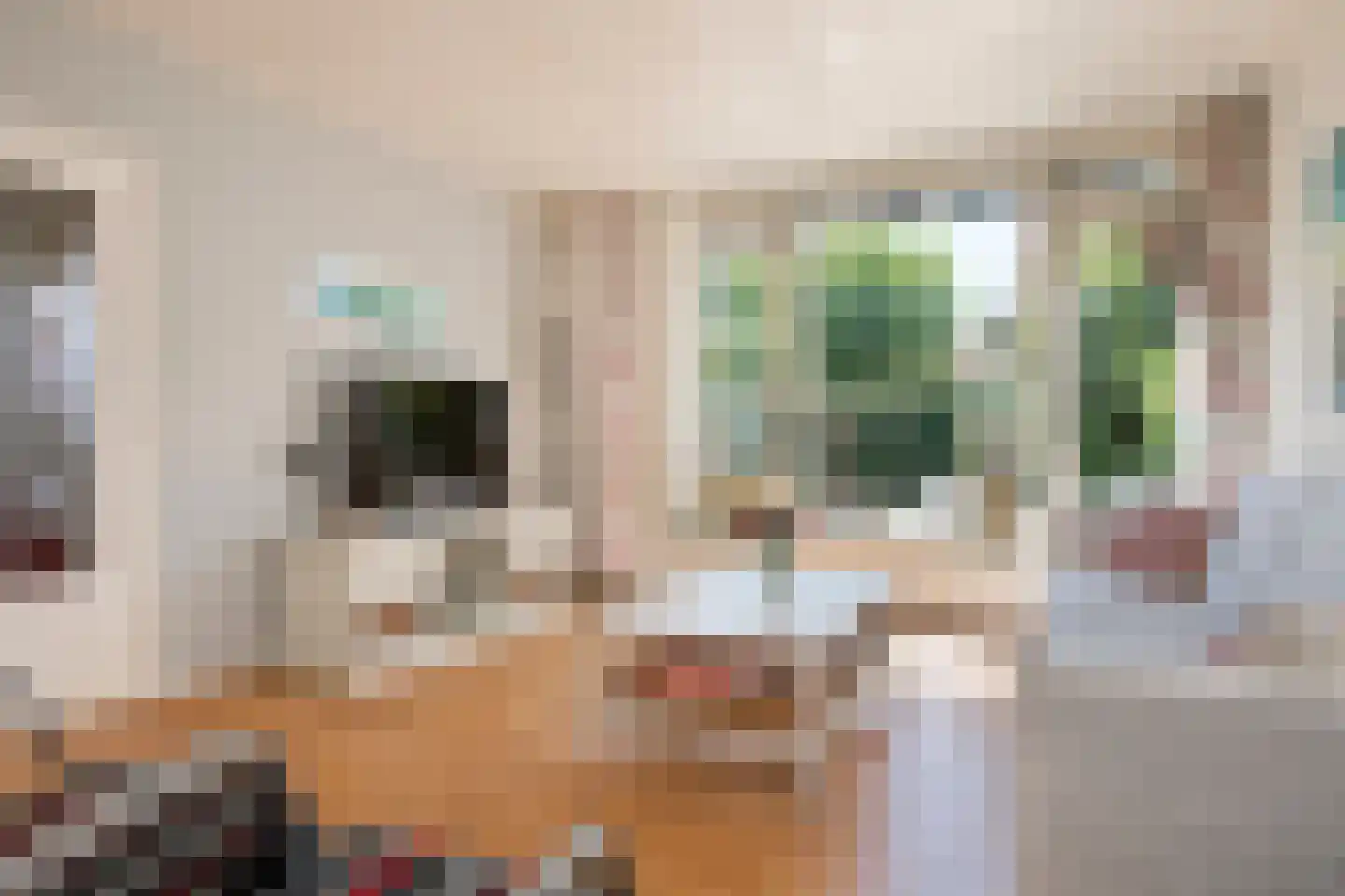 Willem van Kleefweg 5 Oosterbeek thumbnail 8