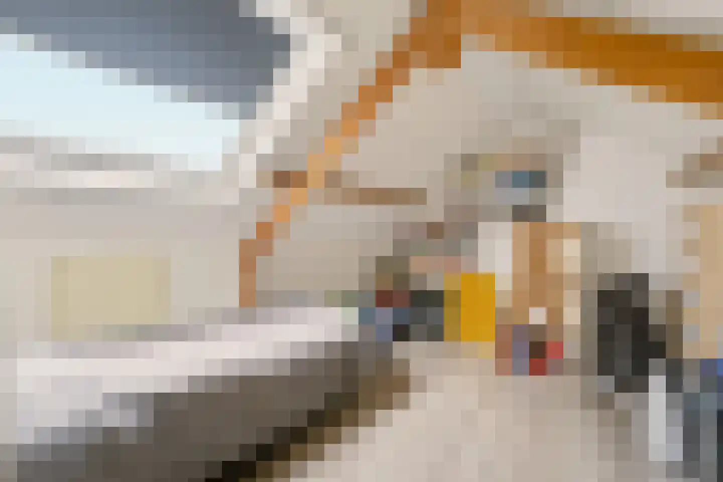 Willem van Konijnenburgstraat 15 Almelo thumbnail 16
