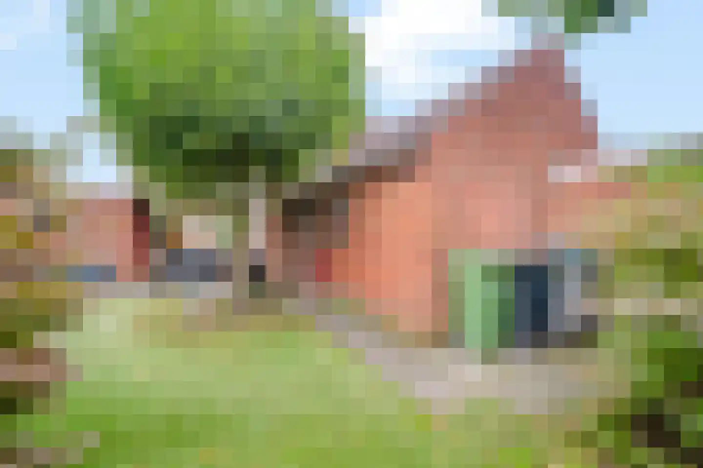 Willem van Konijnenburgstraat 15 Almelo thumbnail 20