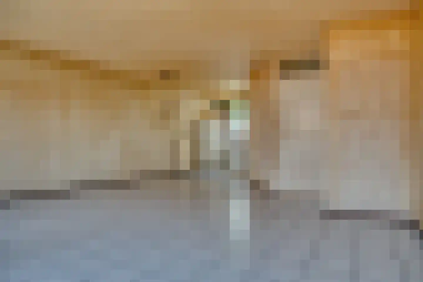 Willem van Leenpad 7 Hendrik-Ido-Ambacht thumbnail 9