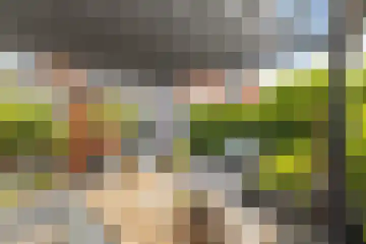 Willem van Leusdenlaan 34 Maarssen thumbnail 23