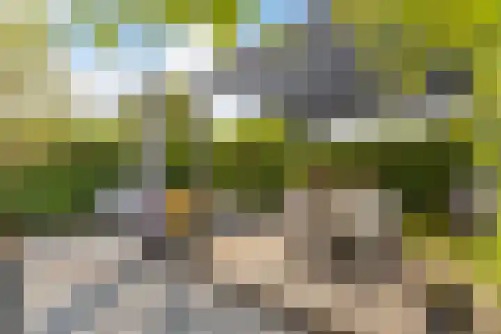 Willem van Leusdenlaan 34 Maarssen thumbnail 24