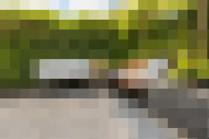 Willem van Leusdenlaan 34 Maarssen thumbnail 25
