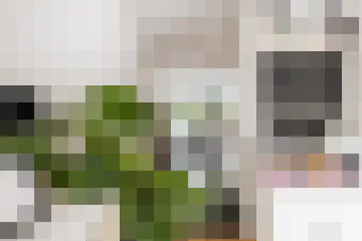 Willem van Leusdenlaan 34 Maarssen thumbnail 34