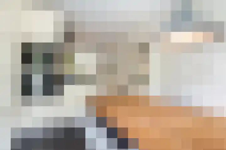 Willem van Leusdenlaan 34 Maarssen thumbnail 36