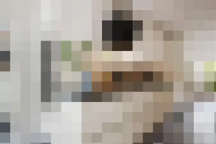 Willem van Leusdenlaan 34 Maarssen thumbnail 38