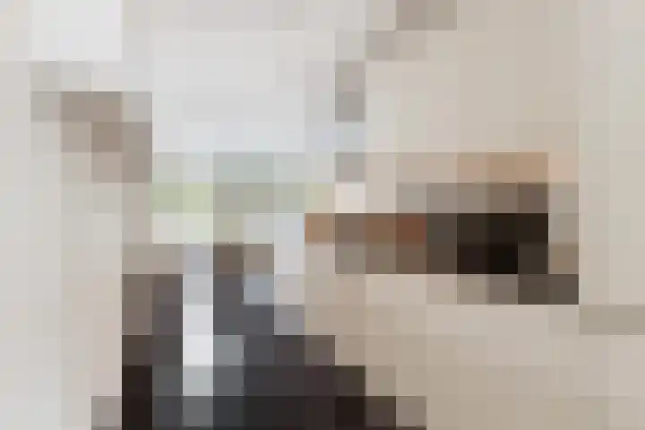 Willem van Leusdenlaan 34 Maarssen thumbnail 39
