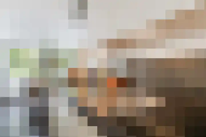 Willem van Leusdenlaan 34 Maarssen thumbnail 40