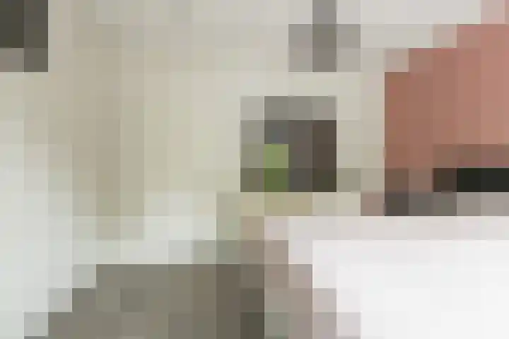 Willem van Leusdenlaan 34 Maarssen thumbnail 48