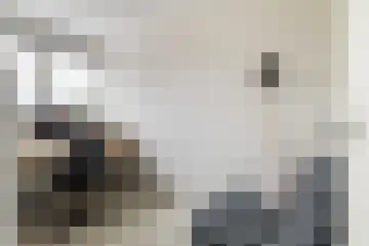 Willem van Leusdenlaan 34 Maarssen thumbnail 49