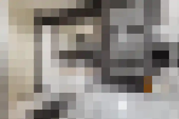 Willem van Leusdenlaan 34 Maarssen thumbnail 61