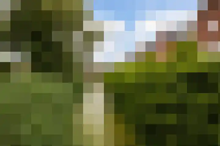 Willem van Leusdenlaan 34 Maarssen thumbnail 65