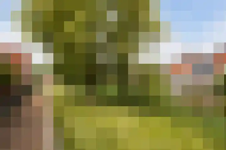 Willem van Leusdenlaan 34 Maarssen thumbnail 67