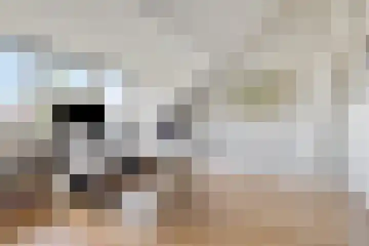 Willem van Leusdenlaan 60 Maarssen thumbnail 26