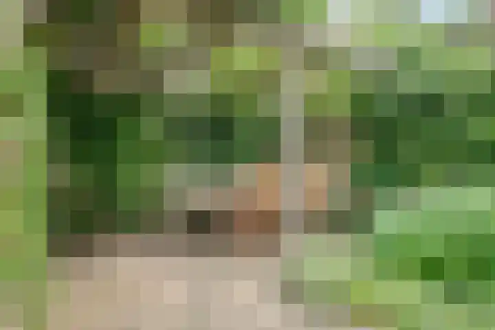 Willem van Leusdenlaan 60 Maarssen thumbnail 35