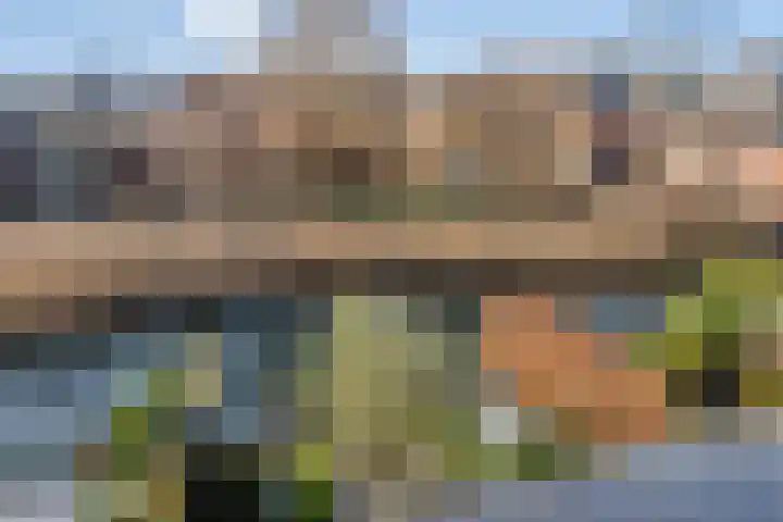 Willem van Leusdenlaan 8 Maarssen thumbnail 27